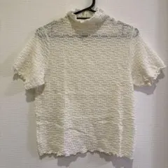 Item thumbnail for item d1947e50-27b0-4000-8346-9a0a4bb544d2