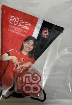 Item thumbnail for item c12787a3-123d-4969-8f2e-62a02663f7c7