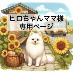 ヒロちゃんママ様 専用ページ