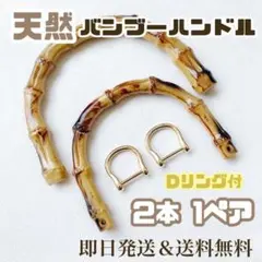 Item thumbnail for item 4eb19d4b-5213-46d2-bbaa-34ed9630d7a8