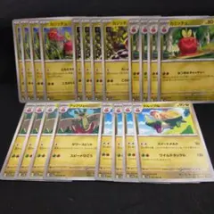ポケモンカード カジッチュ タルップル アップリュー - メルカリ