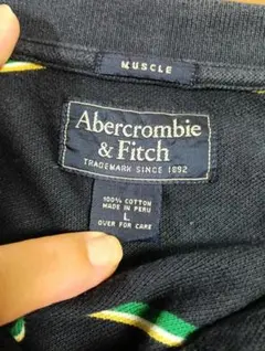 Abercrombie & Fitch MUSCLE L ポロシャツ