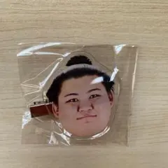 Item thumbnail for item 224ee6cd-81e3-4e8a-843a-3f11ec2aa983