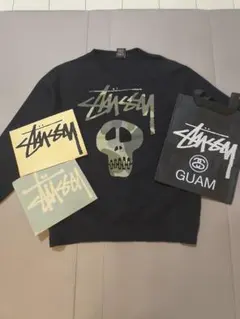 激レア】AIR JAM 2011 スタッフTシャツ L STUSSY ハイスタ - メルカリ