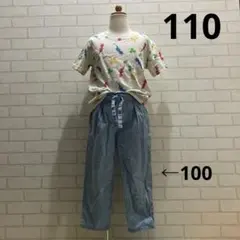 ピクミン Tシャツ110cmとパンツ100cmのまとめ売りセット売り