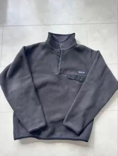 【希少】patagonia SYNCHILLA スナップT フリース