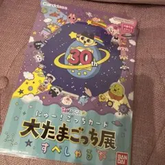 【新品未開封】にゅー！ごっちカード　大たまごっち展　すぺしゃる