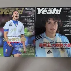 【サッカー デルピエロ　アイマール】 Yeah! No.132　084