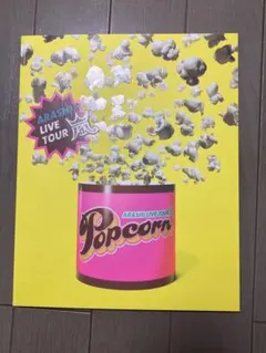 ARASHI LIVE TOUR Popcorn パンフレット