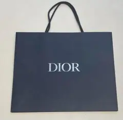★新品★DIOR オムメンズショッパーショップ袋 横長大