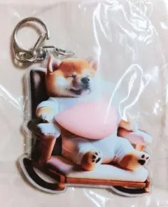 新品・未使用 未開封　柴犬 アクリルキーホルダー ぷにぷに お腹 椅子