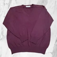 【希少】エルドス ERDOS 高級カシミヤ Vネックセーター サイズ44