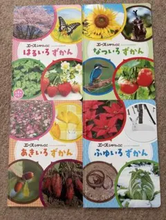 エースひかりのくに　はるなつあきふゆずかん　4冊セット