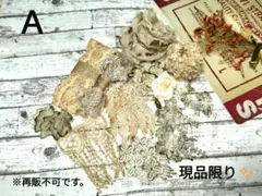 No99 コーヒー手染めアソートレースセット