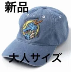 ドラゴンボール シェンロン 帽子 キャップ デニム 刺繍 - メルカリ