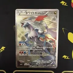 2026年最新】ポケモンカード ホワイトキュレム CP2の人気アイテム