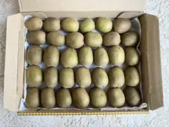 A【訳あり】農薬不使用ミニキウイ(レインボーキウイ)ネコポスBOXいっぱい