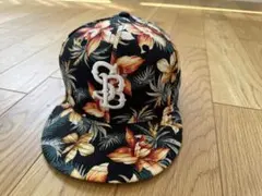 Item thumbnail for item 3e5d56b3-631d-4441-8859-9bfac5ae0cac