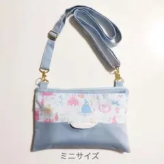 【ミニサイズ】プリンセス　ブルー　ショルダーティッシュケース　保育士