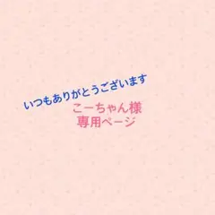 《リピ様▷こーちゃん様　専用》おなまえシール　ラベルシール　お作りします