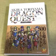 ドラゴンクエスト　攻略本まとめ売り チ*ス様 ドラクエ10 攻略本21冊まとめ売り ドラクエX - メルカリ