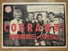 2026年最新】oi of japanの人気アイテム - メルカリ