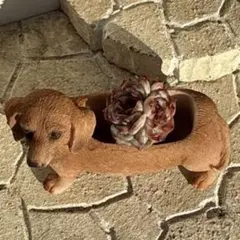 りんこ様 リクエスト 5点 まとめ商品