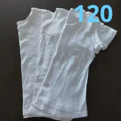 120　ホワイト半袖アンダーシャツ3枚セット
