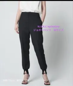 Theory Powder Crepe CL Slim Jogger GZ - メルカリ