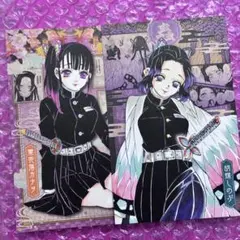 栗花落カナヲ 胡蝶しのぶ ポストカード