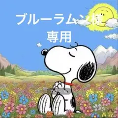 ダイヤモンドアート　スヌーピー　太陽　お花畑　キット　ビーズアート