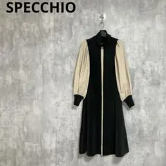 フレアワンピース ロングワンピース