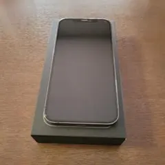 Apple iPhone 12 Pro 512G グラファイト