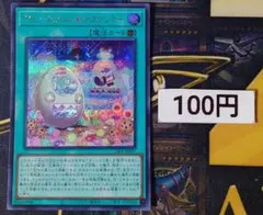 26LP-JP007 ヤミーズメント★アクロッキー シク