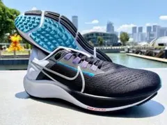 ナイキ ランニングシューズ メンズ エア ズーム ペガサス 38 29㎝