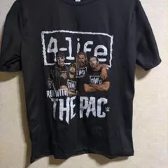 【13日限定出品0時削除】wcw WWE　NWO　Tシャツ　サイズ L