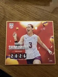 バレーボール女子日本代表 秋本美空 ミニ色紙 N-15 - メルカリ