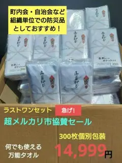 ジュンコ 備品 白 フェイスタオル 300枚 個別包装 粗品 景品 新品 ジュンコ様専用 備品 白 フェイスタオル 300枚 個別包装 粗品 景品