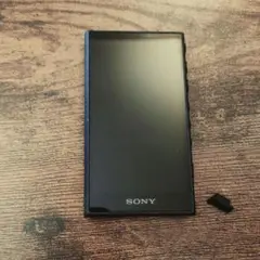 SONY ウォークマン NW-A300 32GB マイクロSDカード 128GB - メルカリ