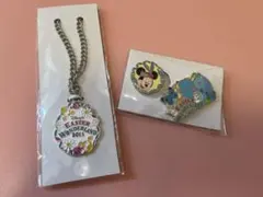 未使用品　ディズニー　2011EASTER チャーム、マグネット&クリップ