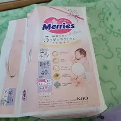 Item thumbnail for item 8e1b1c9e-b958-4ce4-a1a0-6e6d7e9dd0a8