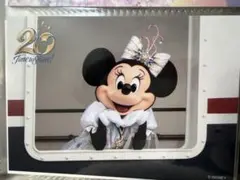 ディズニー　スペシャルフォト　ミニー
