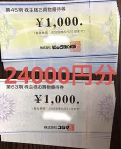 ビックカメラ・コジマ 株主優待券 24000円分