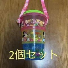 ディズニー　スプリングカーニバル　 ポップコーンケース2個