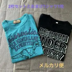 130cm恐竜プリントTシャツとロゴ入りトップス2枚セットとおまけTシャツ