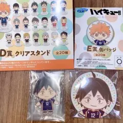 ハイキュー‼︎セガラッキーくじ