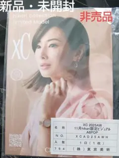 2026年最新】北川景子ポスターの人気アイテム - メルカリ