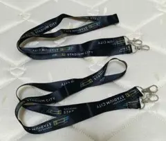 Item thumbnail for item 1f233d3b-06be-40c9-b0d2-1be6739e2d19