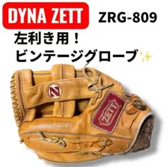 Item thumbnail for item 2d17d17c-906b-4516-8d55-a1fafc8155d8