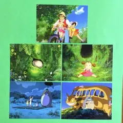 スタジオジブリ　となりのトトロ　大判ポストカード　 ５枚セット　Ｃ